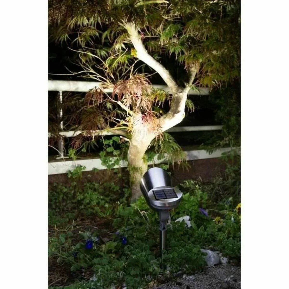 V11H52CB32AD979CACCAEDC646F6FF50179DR5430508P4