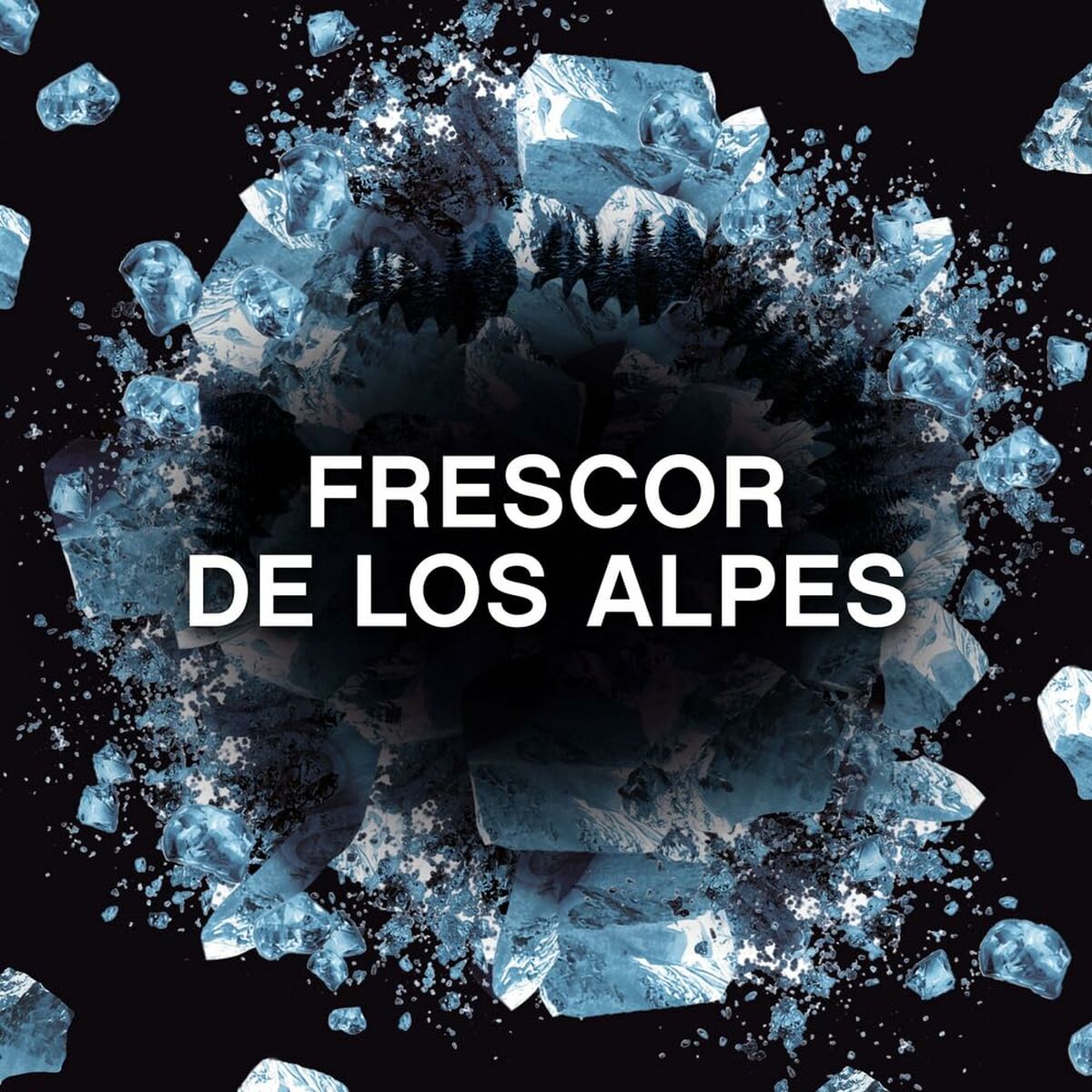 V4H7E1E52C6D6ABE5C4E8952E093636C8BDR6987095P3