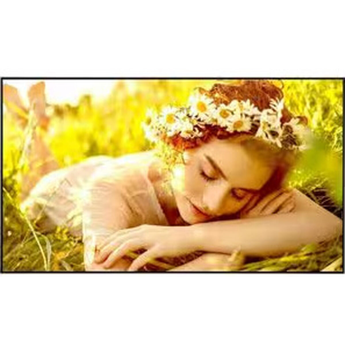 Lg Videowall Monitor Lg 86Ul5Q-E.aeuq 50" Ultra Hd