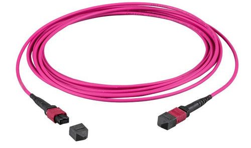 Efb Mtp(f)-mtp(f) Network Cable OM4 12 Fasern Typ B Lszh Erika-violett 1M — image 1