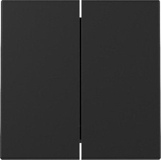 Gira 3295005 Tecla Tilting 2F System 55 Black M