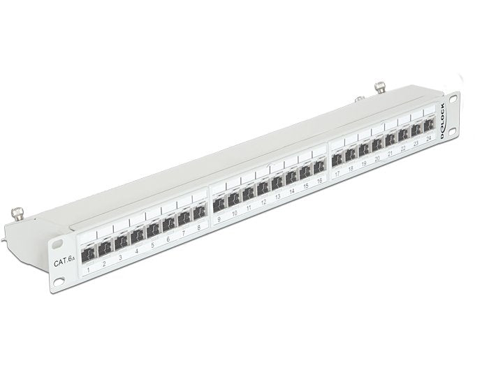 Delock Patchpanel 19 24 Ports CAT.6A Grey