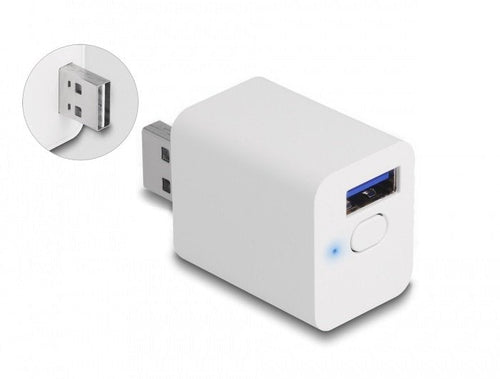 Delock Adapter Smart WLAN Easy-usb Mqtt — image 1