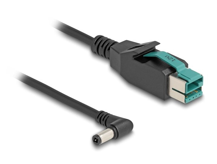 Delock 80611 Cable Poweredusb Male 12V a DC 5,5 X 2,5MM Male Sesgado 3M