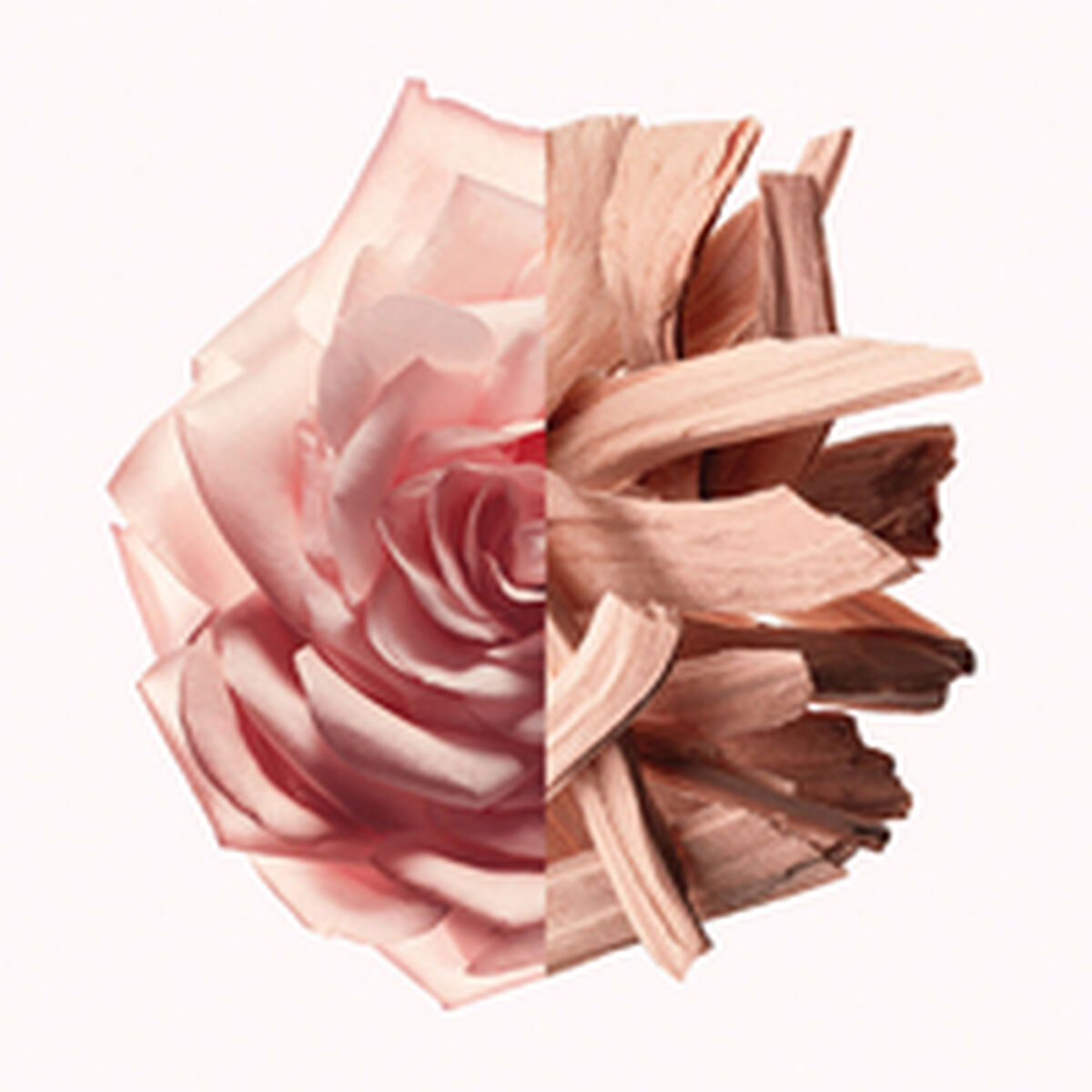 V2H9328F8FE804E929710DDEE8ECD6736FFR7785825P2