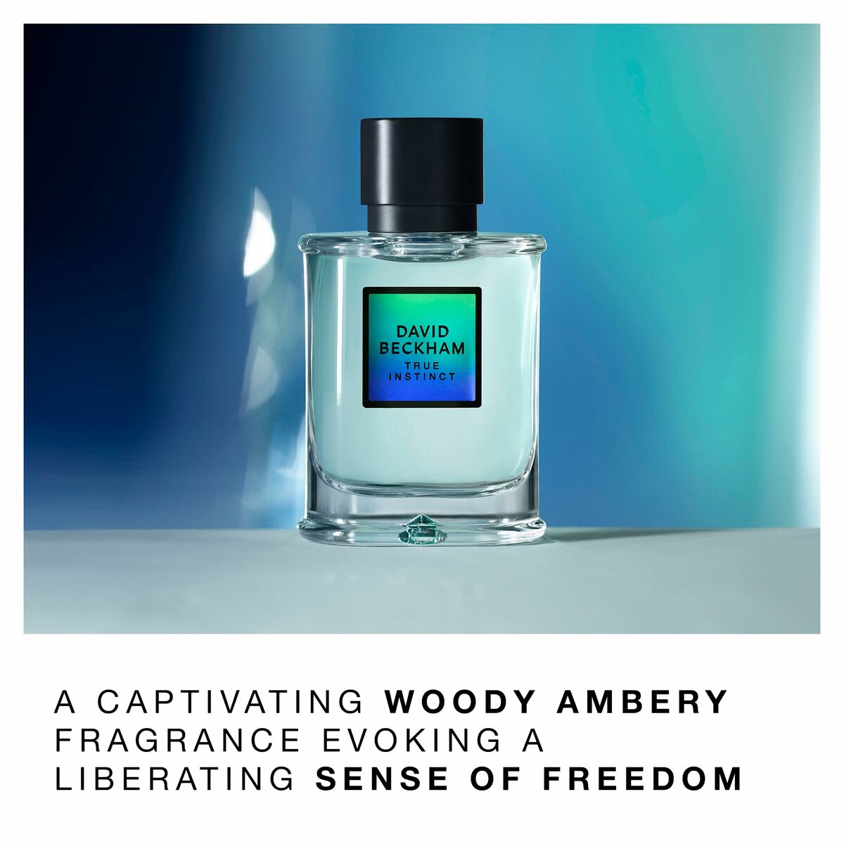 V4H3D0F5D98958DDD152252737B0B157886R7175293P5