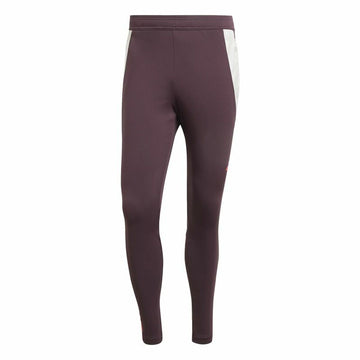 Long Sports Trousers Adidas Fc Bayern 24/25 Tiro24 Brown Maroon Men