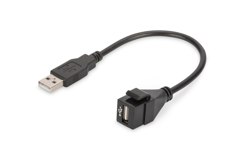 Digitus Módulo Keystone USB 2.0 USB - USB Male / Female 16CM