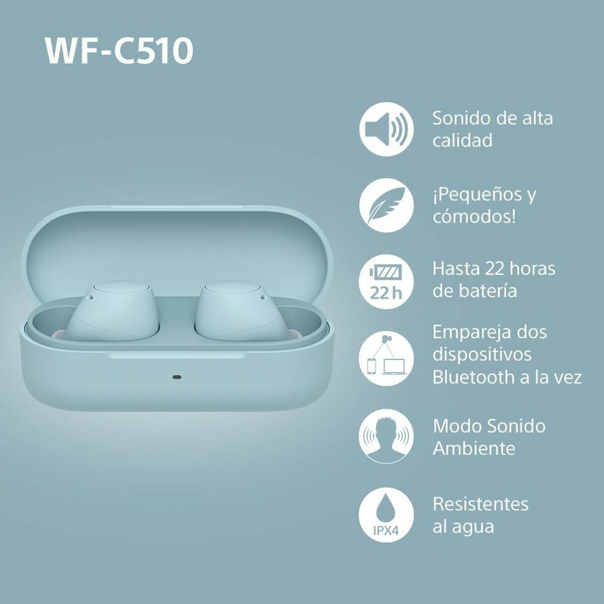 V4HBDD80EC9DD841B24F9B4506507C23613R5835996P6