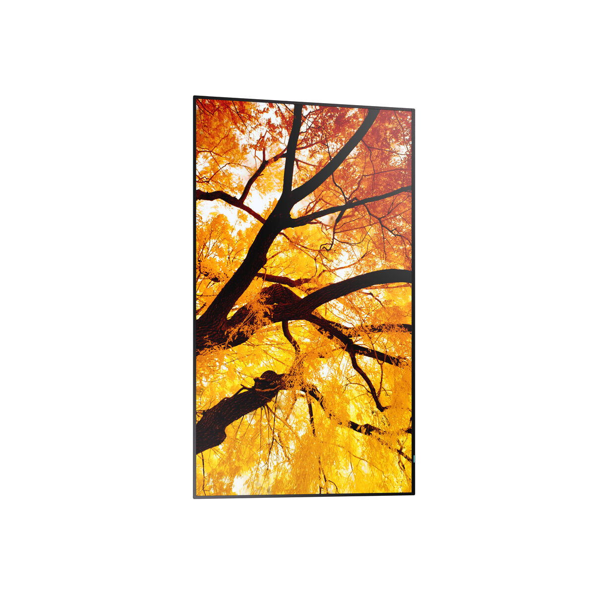 Sharp Videowall Monitor Sharp 60006052 Full Hd 32"