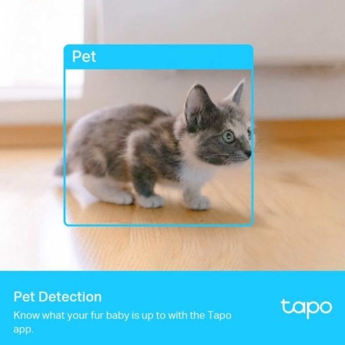 Tp-Link Surveillance Camcorder Tp-Link C225