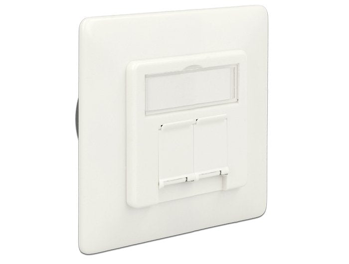 Delock Modular Wall Outlet Flush Mount 2 Port CAT.6A Lsa
