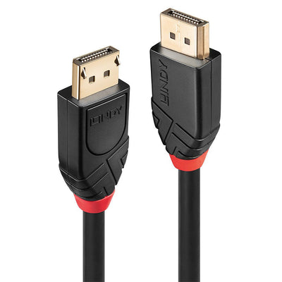 Lindy 41081 Cable DisplayPort 20M Black — image 1