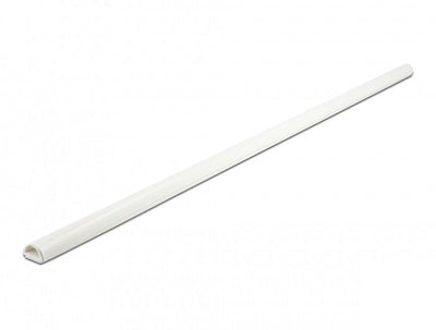 Delock Canal With Closure Automatic 15 X 11MM - Length 1M White — image 1