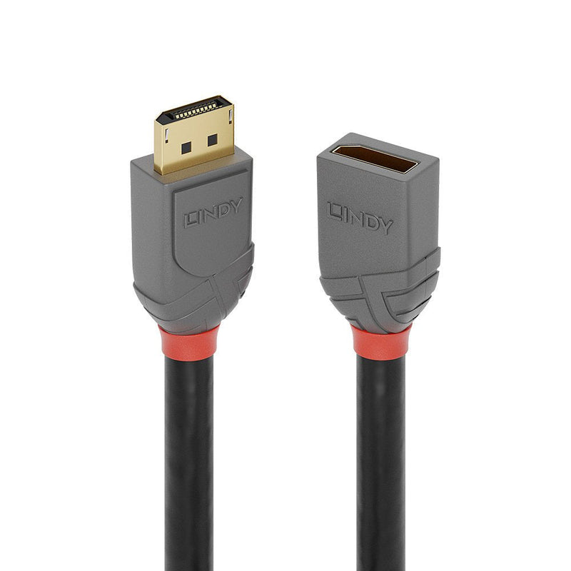 Lindy DisplayPort 1.4 Cable Extensión 3M, Line Anthra