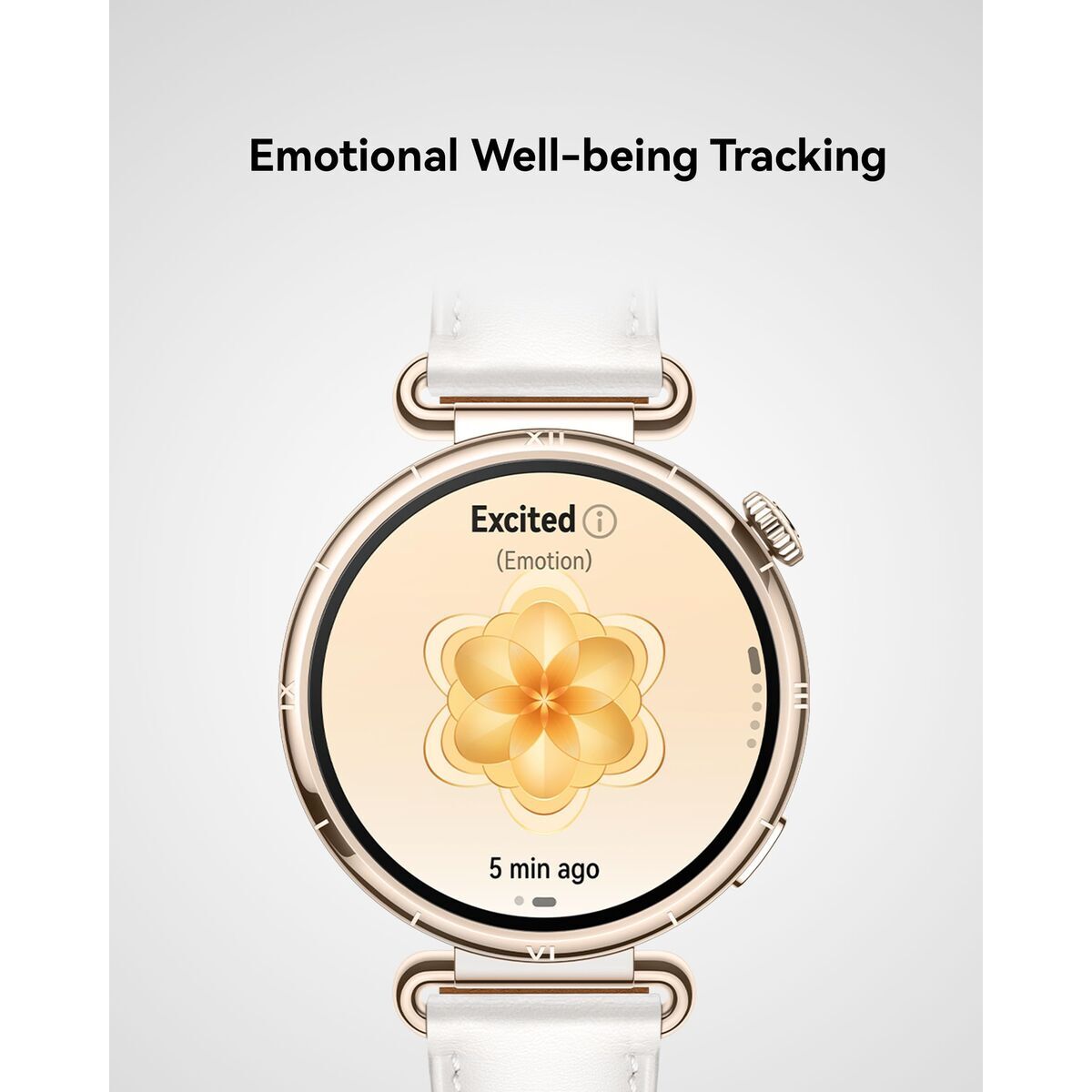 Huawei Smartwatch Huawei Watch Gt 6 Atum-B19F Black 1,47" 46 Mm