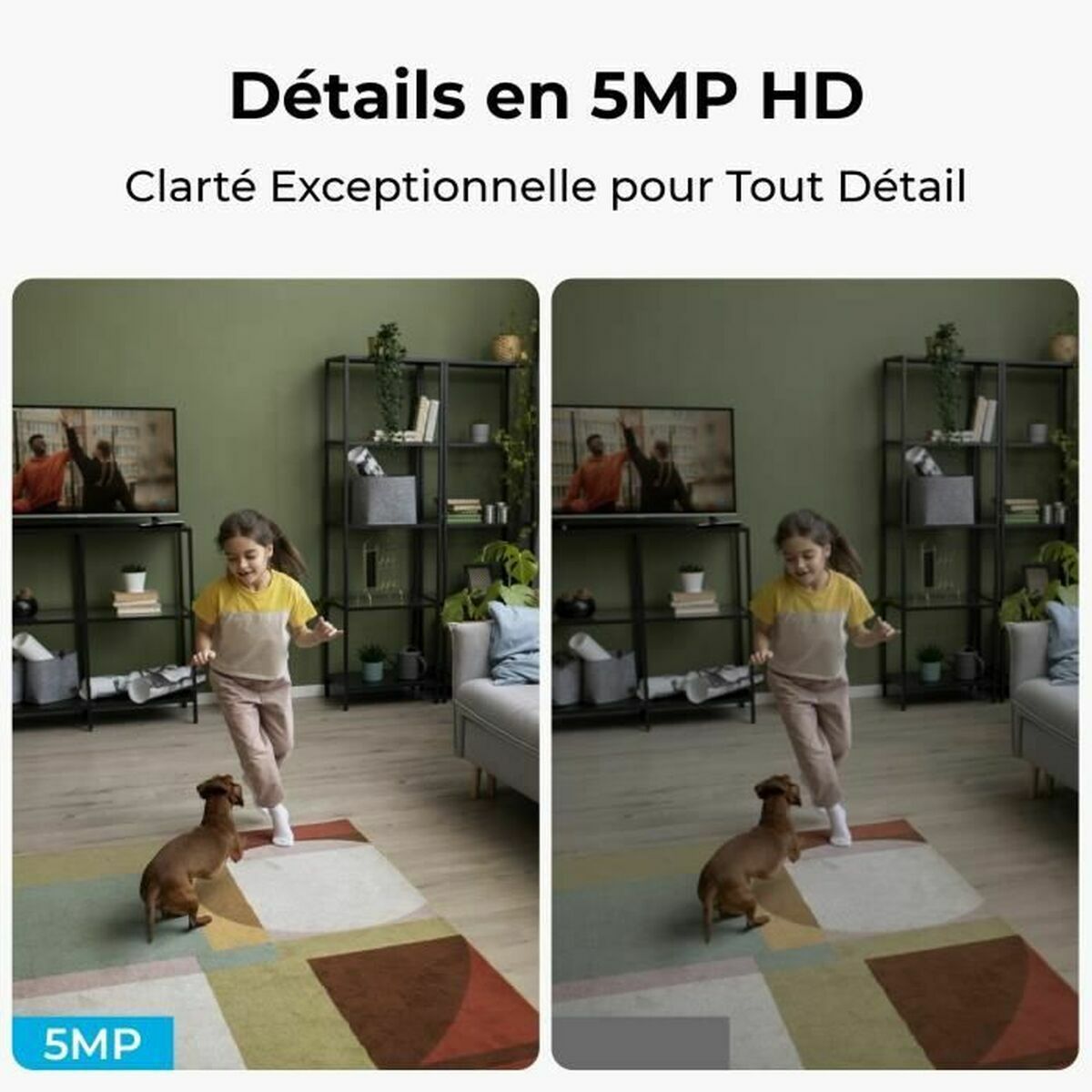 Reolink Surveillance Camcorder Reolink E330