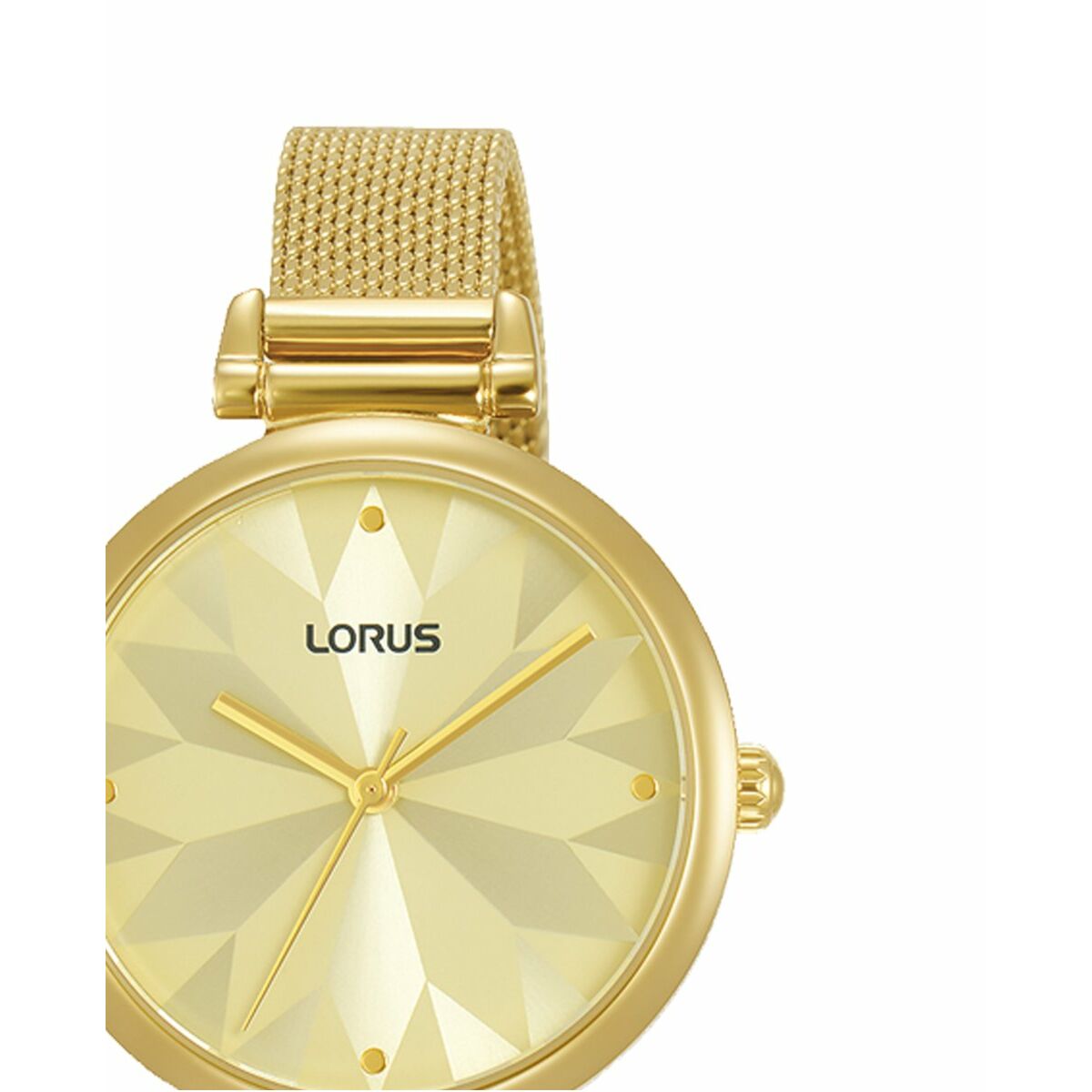 Lorus Ladies' Watch Lorus Rg208Tx5