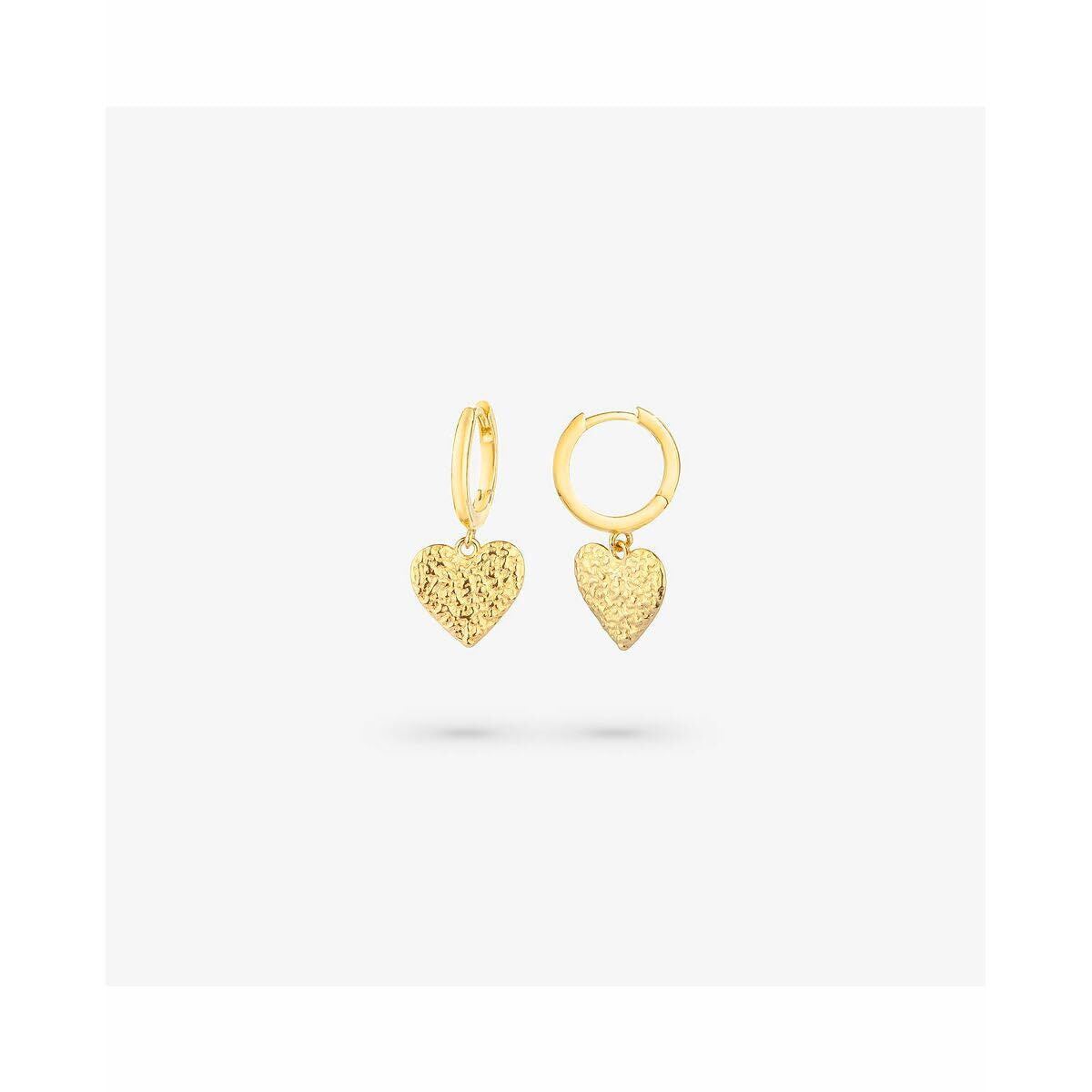 Ladies' Earrings Radiant RY000107