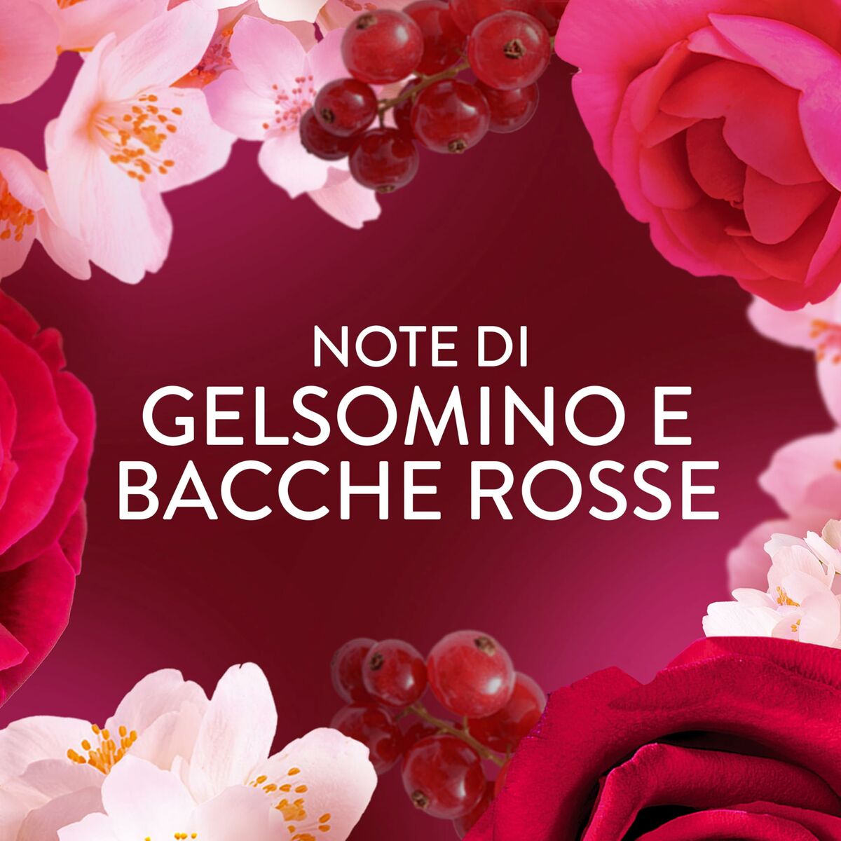 V4HD8A831C54D9AF517C03D6B33C4D97942R6987707P3