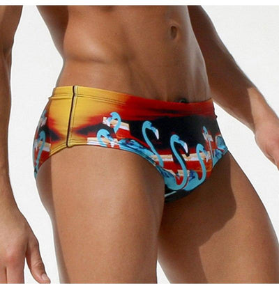 Austin Brazilian Trunks