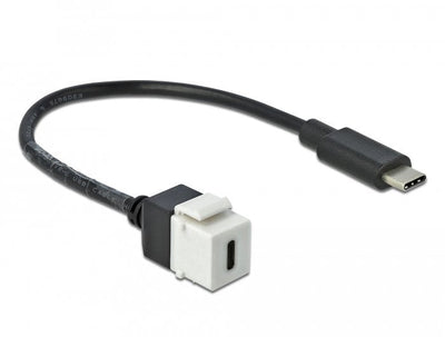 Delock Adap Keystone USB 3.0 C To USB 3.0 C With Cable — image 1
