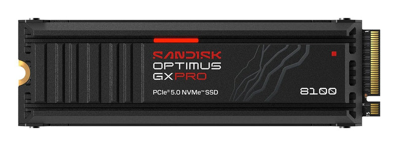 SanDisk 1TB SSD Optimus Gx Pro 8100 NVMe Heatsink