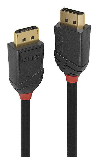Cable 1M DisplayPort 2.1 54G Black Line — image 1