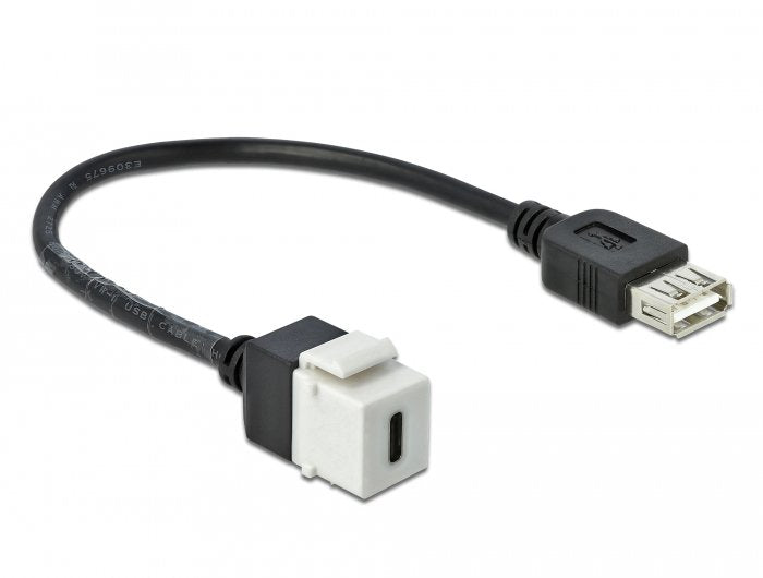 Delock Keystone Módulo USB 2.0 C Connector Female USB 2.0A Connector Female With Cable