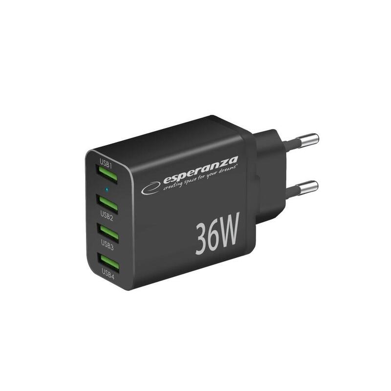 Esperanza EZC107K Charger Network 36W Black