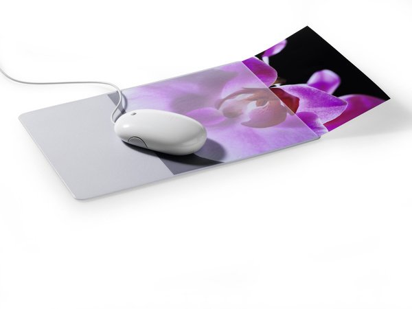 Durable Mouse Pad Mouse Plus With Slot Fotos Grey / Transparent