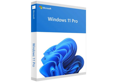 Microsoft Windows 11 Professional 64BIT Spanish 1PK Dsp Oei Dvd. — image 1