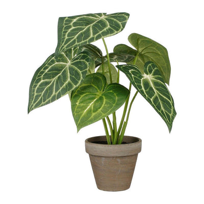 Planta Artificial Caladium Oreja Elefante Green With Plant Pot Ø21X28CM — image 1