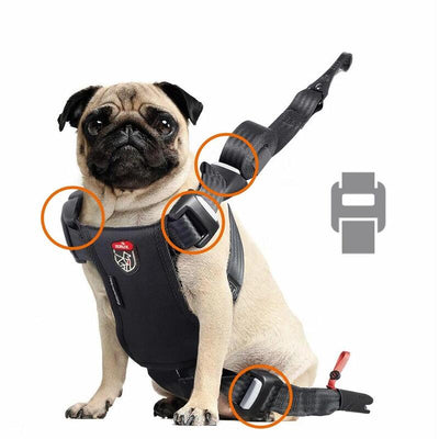 Zolux Szelki Perro Travel Safe S Czerwone — image 1